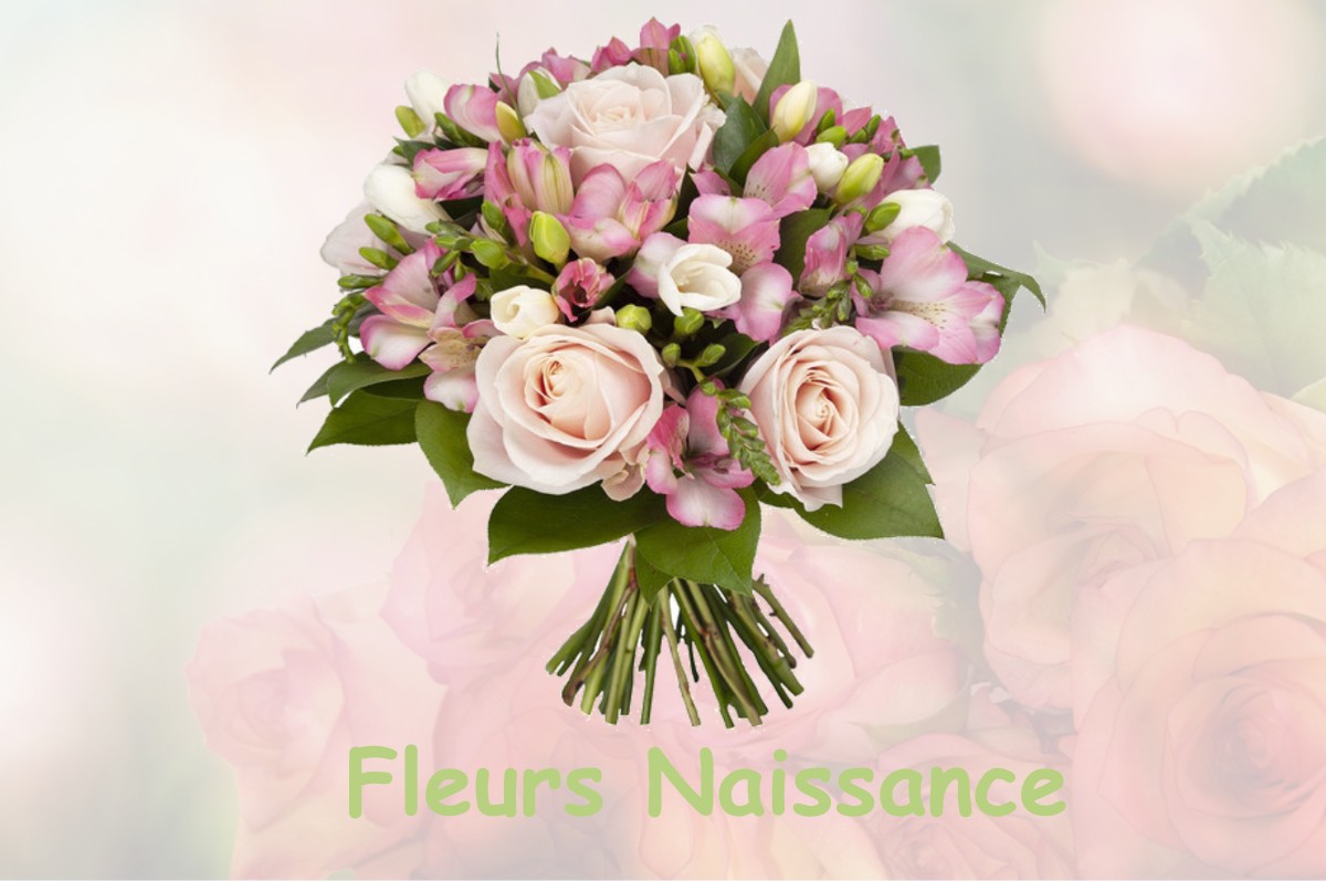 fleurs naissance SAINT-HILAIRE-CUSSON-LA-VALMITTE